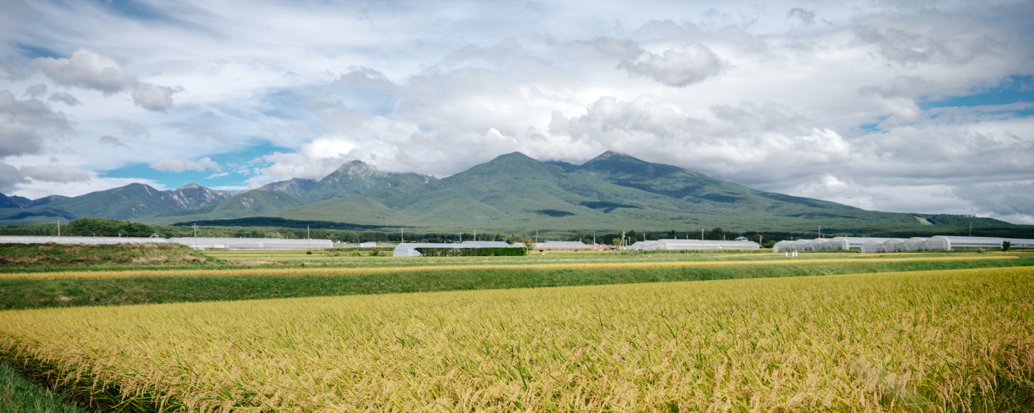 타테시나 키비주얼